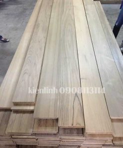 gỗ teak myanmar khai thác từ rừng tự nhiên Myanmar