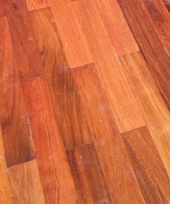 san go cam xe tu nhien