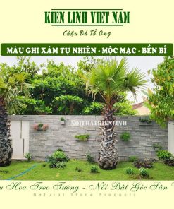 chậu ốp tường trồng hoa