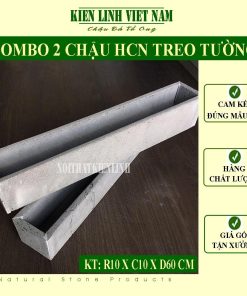 chậu hoa chữ nhật trồng cây