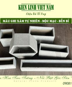 chậu treo lên tường trồng cây xanh