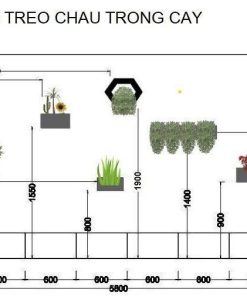 cách treo chậu cây ốp tường