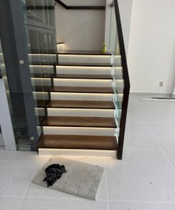 cau thang soi tu nhien