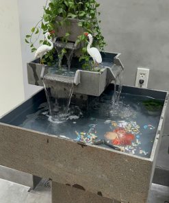 HOCATIEUCANHTRONGNHA