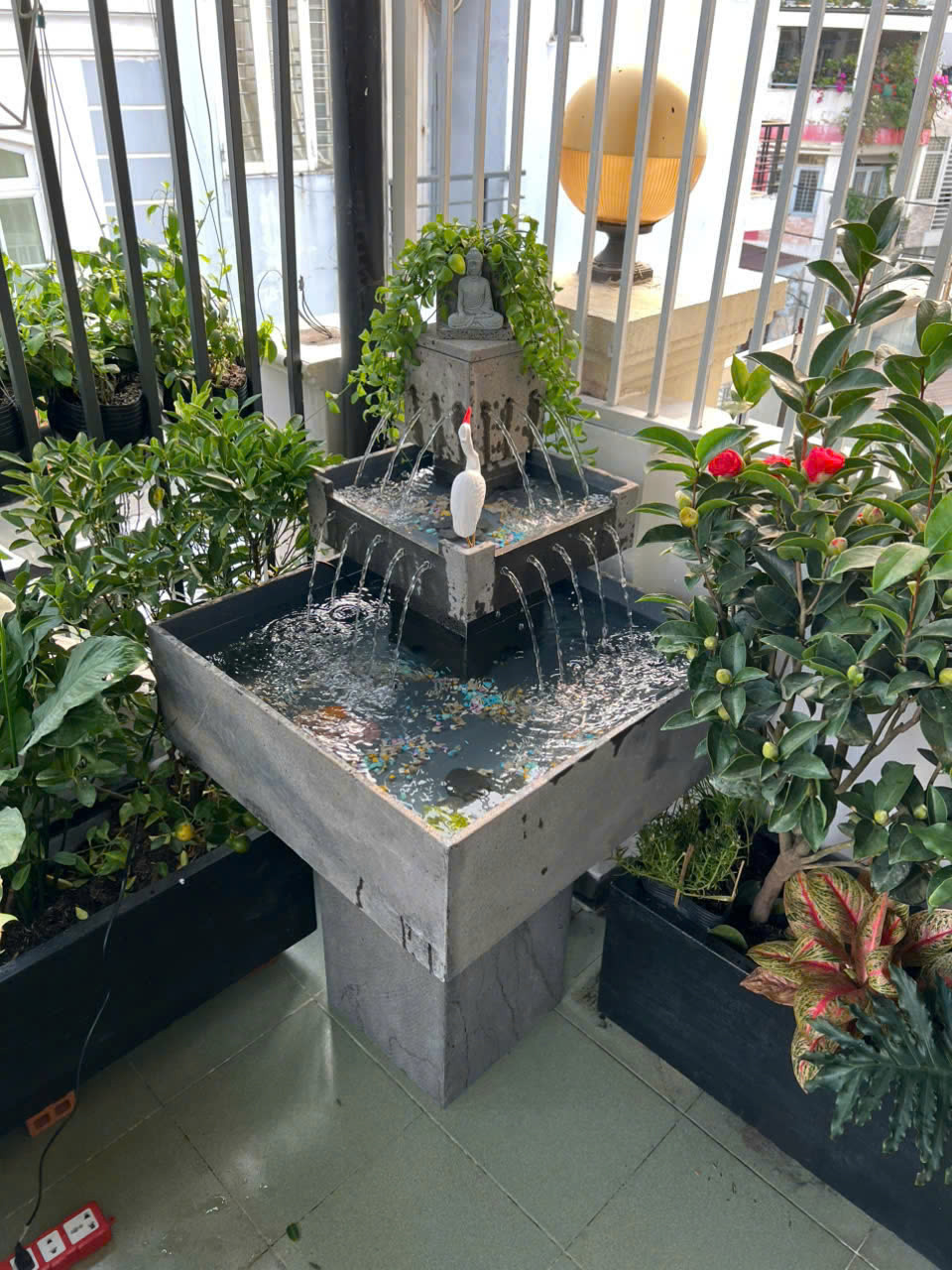 HO CA TIEU CANH NUOC PHONG THUY