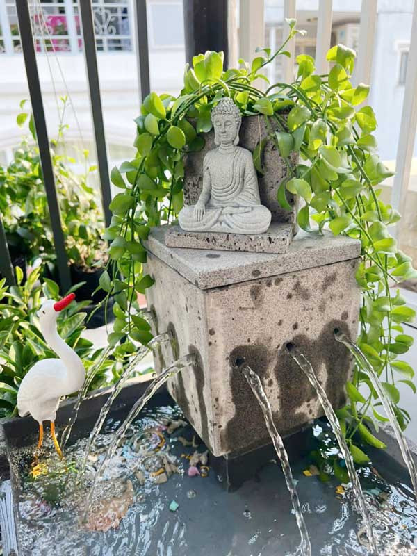 tieu canh nuoc phong thuy